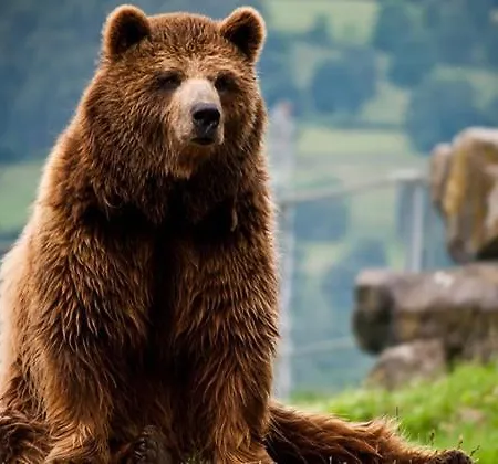 Apto Valle Encantado, Piscina Y Vistas, Tu Escapada Perfecta Gibaja